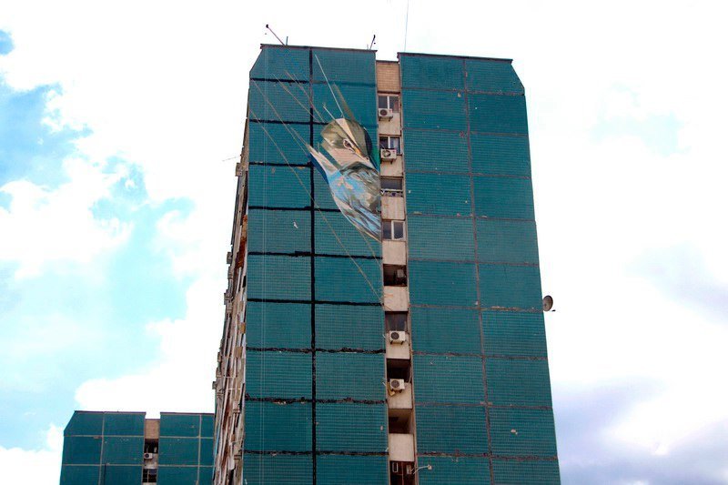 Строгий взгляд и яркие перья: огромная птица украсила высотку на ж/м Парус 1