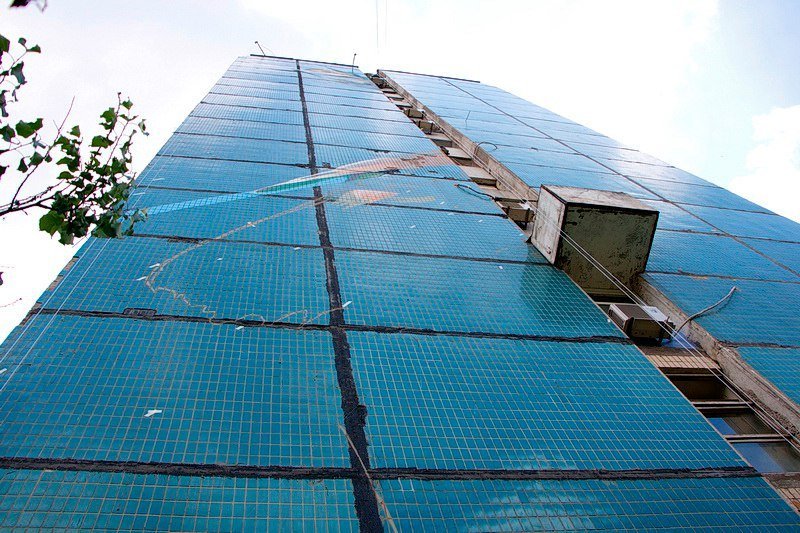 Строгий взгляд и яркие перья: огромная птица украсила высотку на ж/м Парус 3