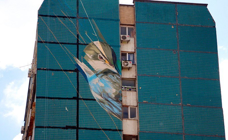 Строгий взгляд и яркие перья: огромная птица украсила высотку на ж/м Парус 5