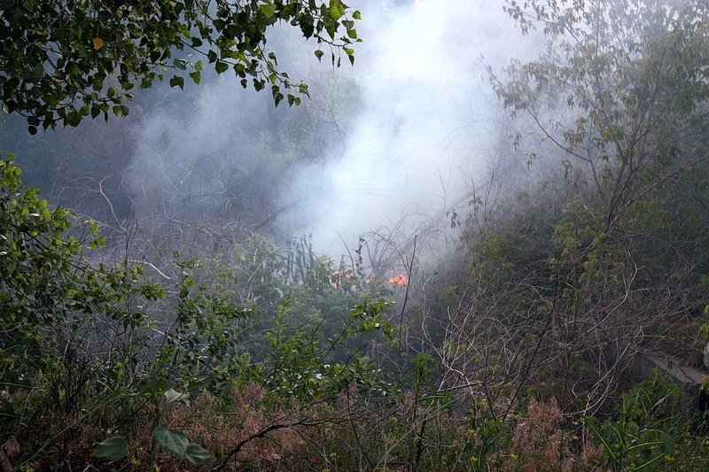 Огонь и много дыма: что горело возле Амурского моста 8