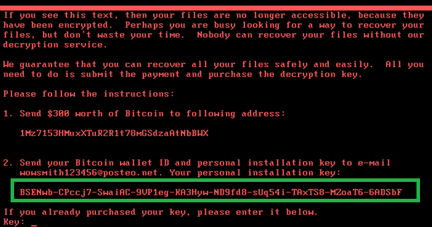 Вирус Petya A в Украине: стали известны причины и цели атаки 3