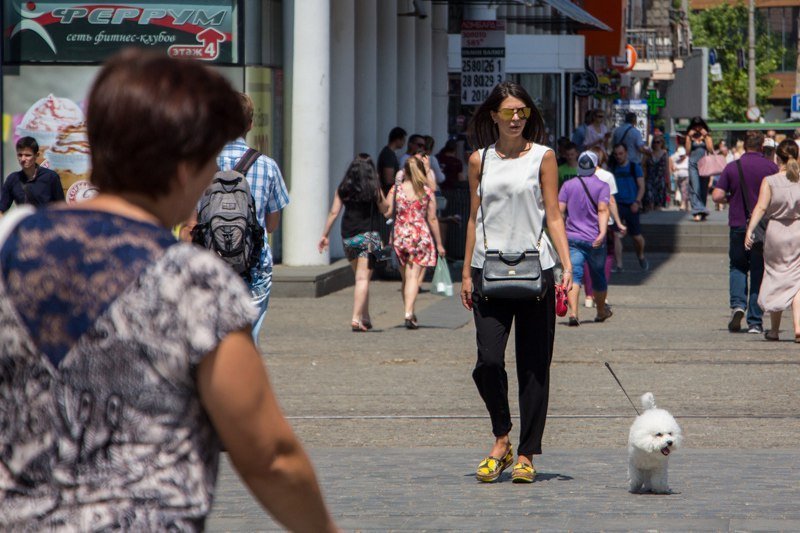 Информатор вышел «на охоту» в Днепре: ищите себя на фотографиях 9