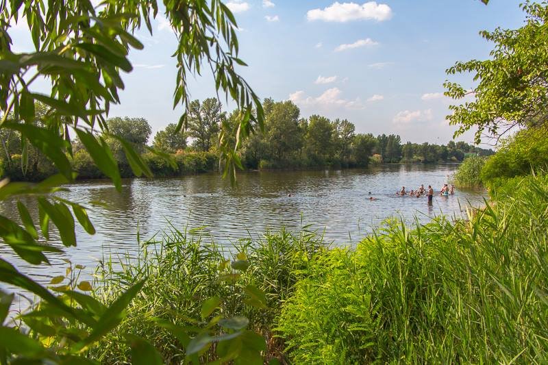 Где в Днепре отдохнуть на природе: пляж "Фрунзенский" 12