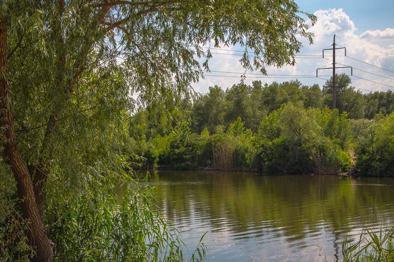 Где в Днепре отдохнуть на природе: пляж "Фрунзенский" 15