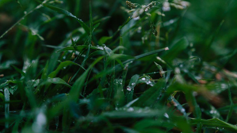 В Днепре пошел летний дождь: красивые фото непогоды 11