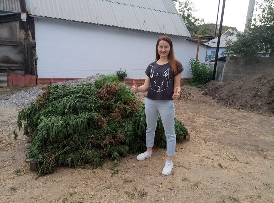 Идея для стартапа: как в Днепре заработать на амброзии 1