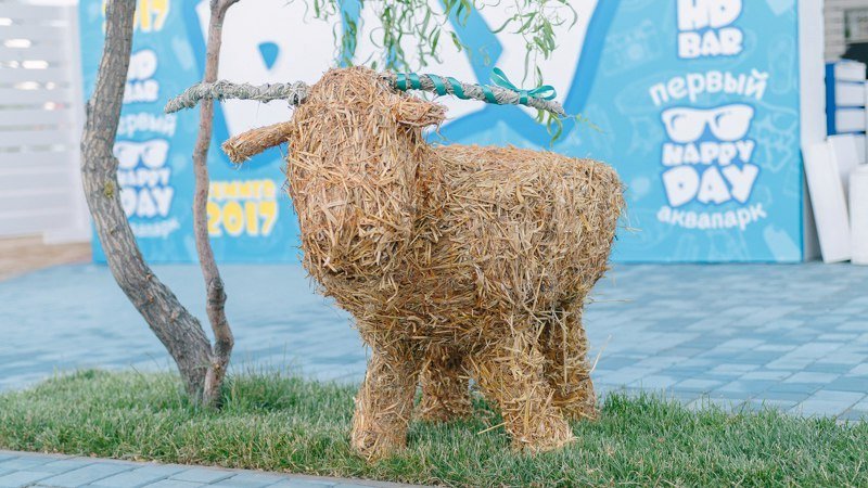 Ивана Купала в Днепре: как это было 5