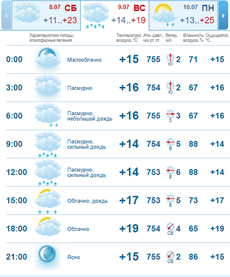 Погода на 9 июля: в Днепре пройдет сильный дождь 2