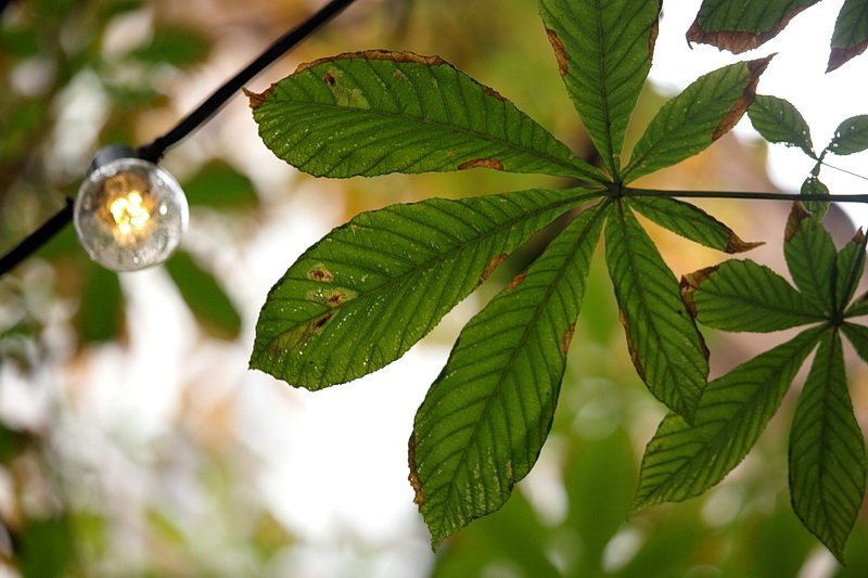 Пасмурное воскресенье в Днепре: как живет город в непогоду 14