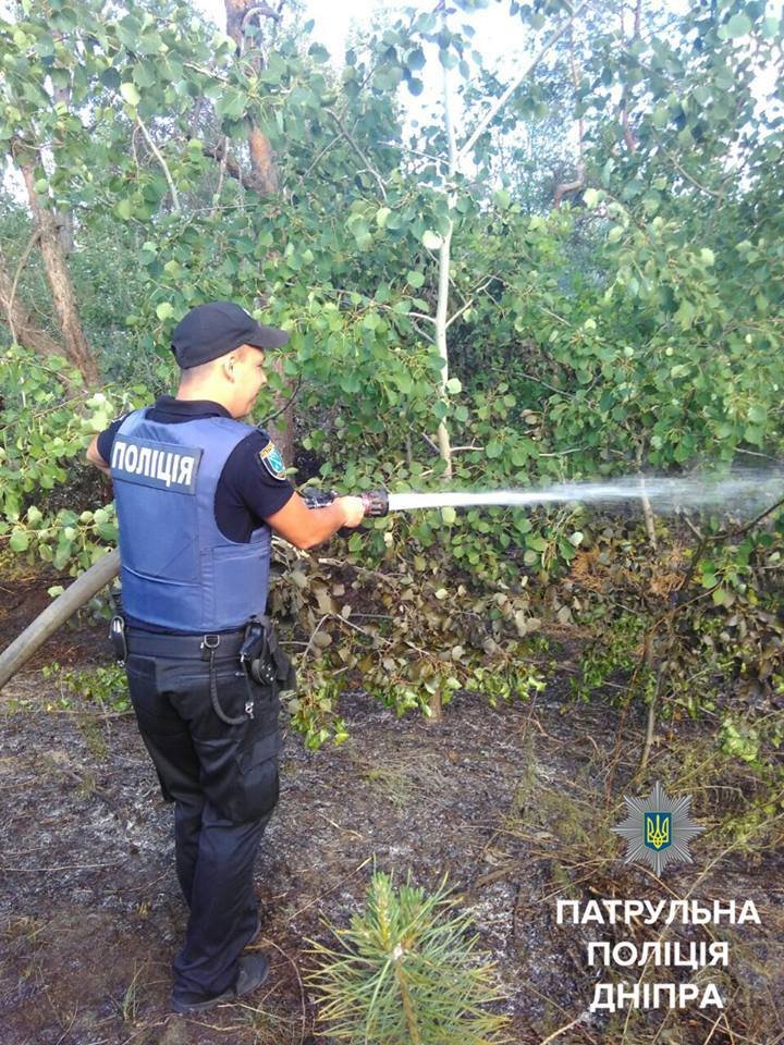 Лесной пожар на Гаванской: с огнем боролись патрульные и спасатели 2