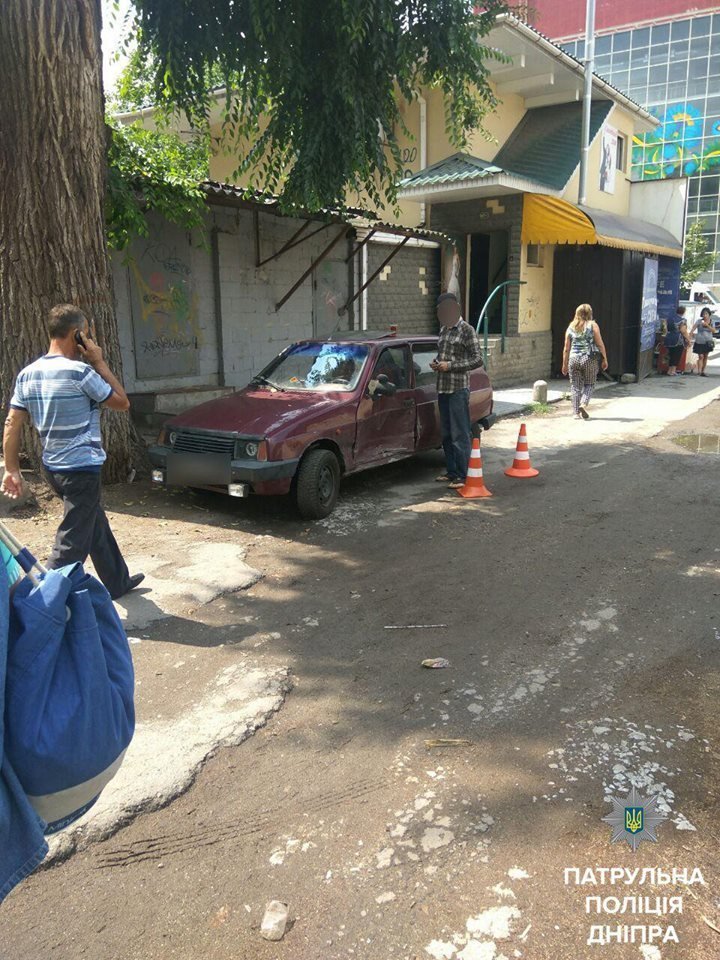 На Шмидта собаки напали на людей: пострадавшую отвезли в больницу 1