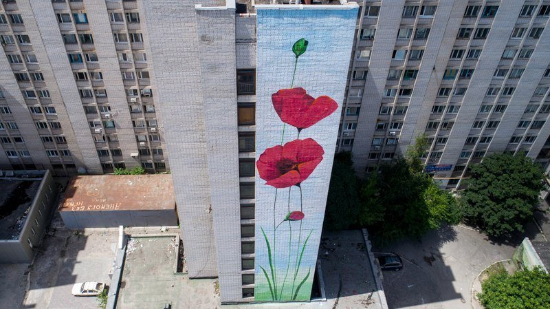 На одной из многоэтажек Днепра расцвели маки: на Победе появился новый мурал 1