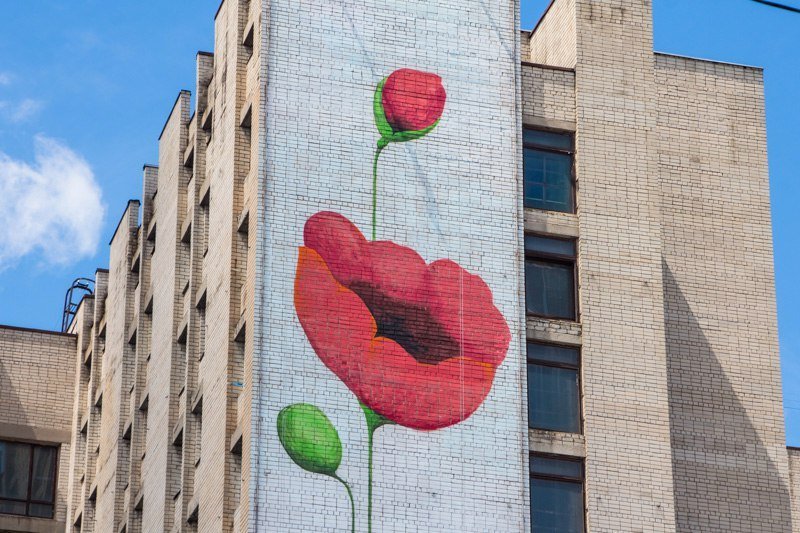 На одной из многоэтажек Днепра расцвели маки: на Победе появился новый мурал 2