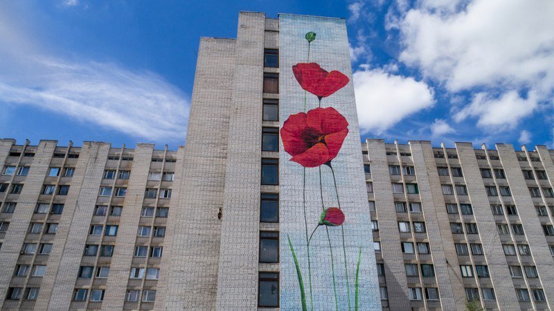 На одной из многоэтажек Днепра расцвели маки: на Победе появился новый мурал 3