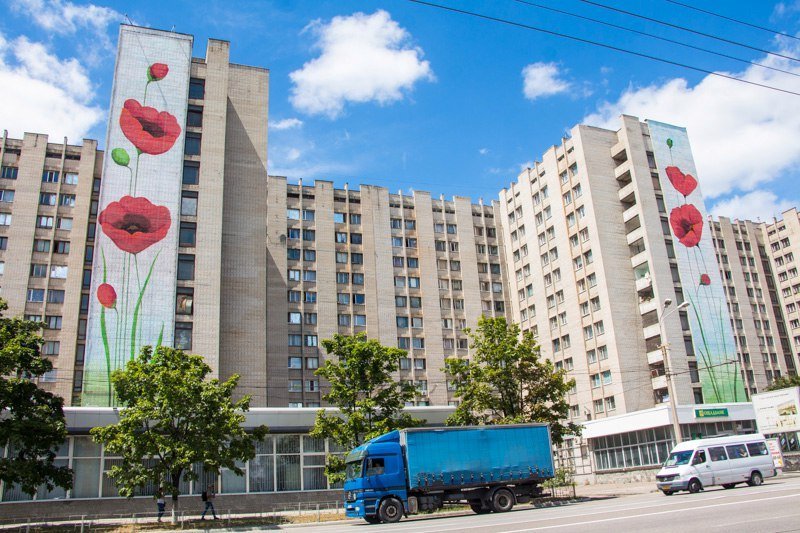 На одной из многоэтажек Днепра расцвели маки: на Победе появился новый мурал 4