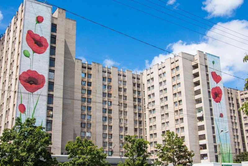 На одной из многоэтажек Днепра расцвели маки: на Победе появился новый мурал 5