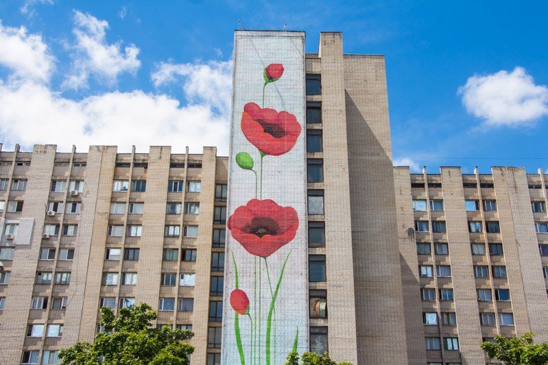 На одной из многоэтажек Днепра расцвели маки: на Победе появился новый мурал 6