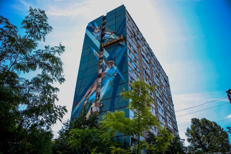 Новый мурал на ж/м Парус: многоэтажку украсили огромные птицы 4