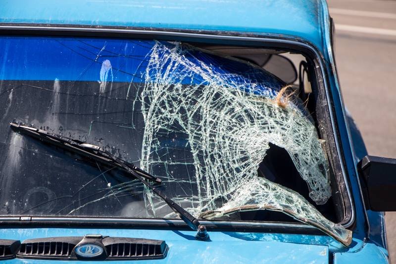 В Днепре возле Dafi ВАЗ сбил женщину на пешеходном переходе 5