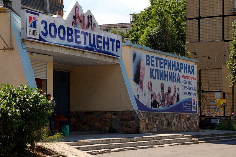 Единый реестр и QR-жетоны: жителей Днепра обяжут чипировать домашних животных 1