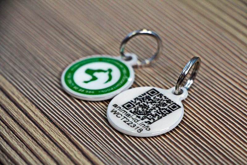 Единый реестр и QR-жетоны: жителей Днепра обяжут чипировать домашних животных 3