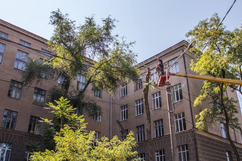 Стало известно, кто и зачем пилит деревья в центре Днепра 2