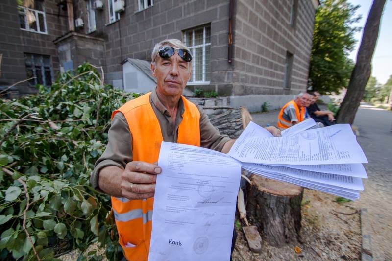 Стало известно, кто и зачем пилит деревья в центре Днепра 4