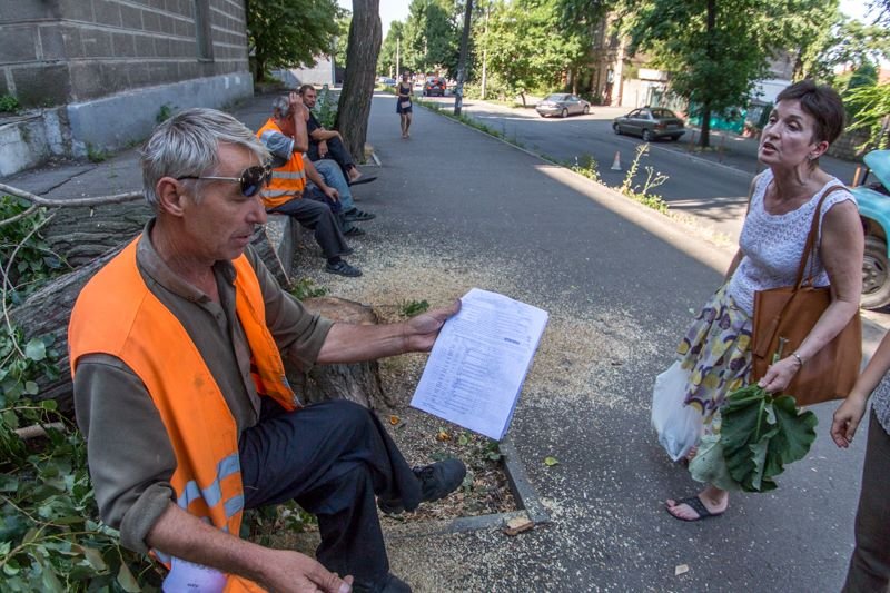 Стало известно, кто и зачем пилит деревья в центре Днепра 7