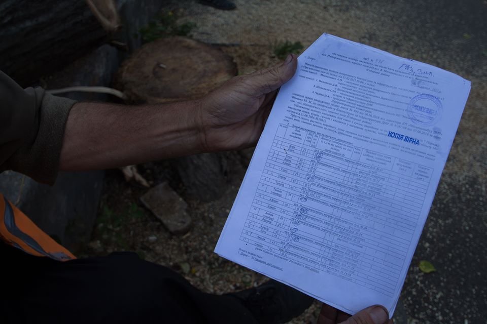 Стало известно, кто и зачем пилит деревья в центре Днепра 8