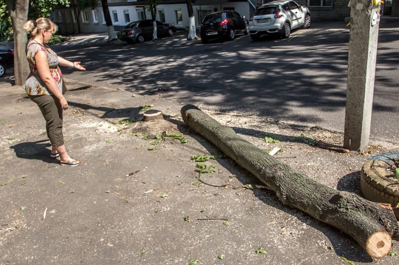 Стало известно, кто и зачем пилит деревья в центре Днепра 10
