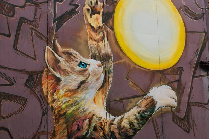 Dnipro Mural Fest 2017: как изменился Днепр за время фестиваля 24