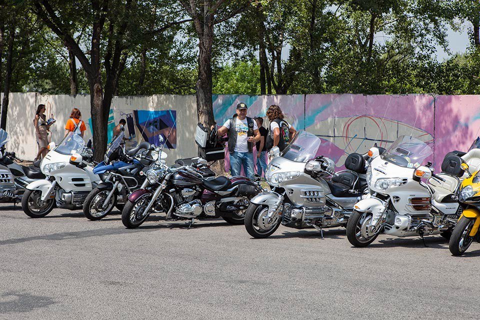 Арт-пикник и самый длинный мурал: как жители Днепра превращали забор в произведение искусства 9