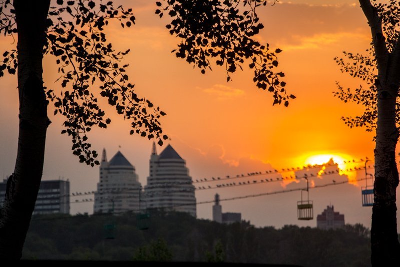 Яника Мерило в сексуальном платье и танцы под дождем: как прошел первый день "Джаза на Днепре" 22