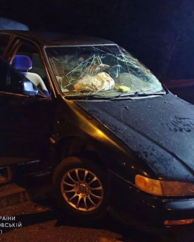 Его отец на передовой