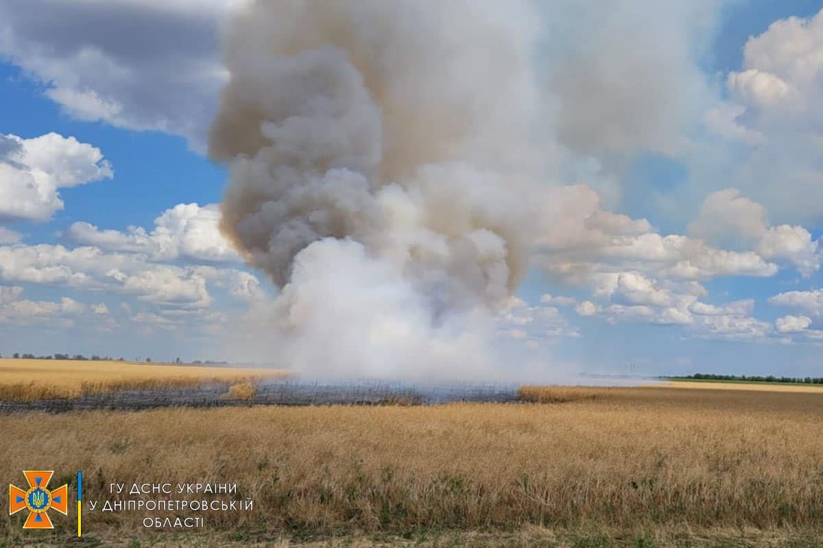 Снаряди прилетіли по полях з пшеницею та ріпаком