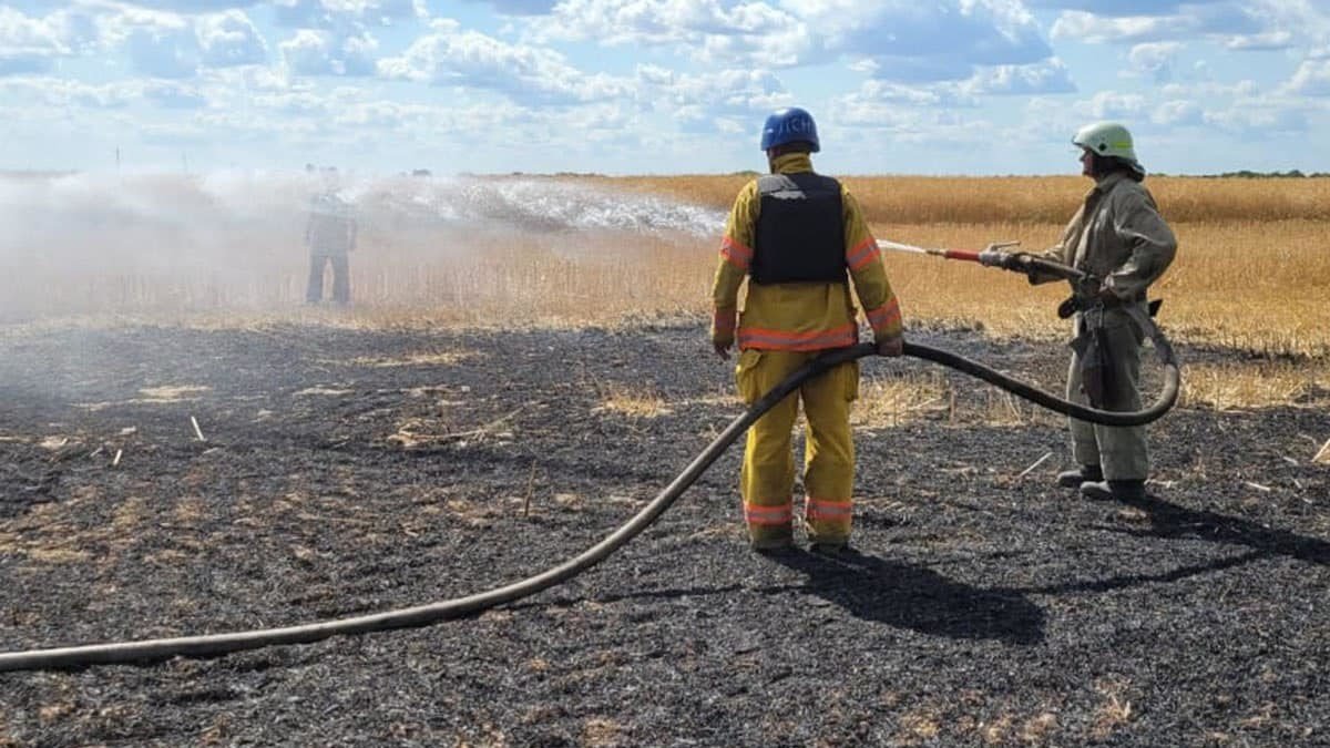 Рятувальники загасили пожежу