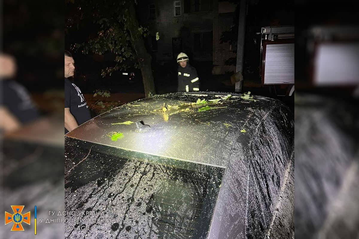 Надзвичайники обласного центру залучалися до розпилювання і прибирання повалених дерев