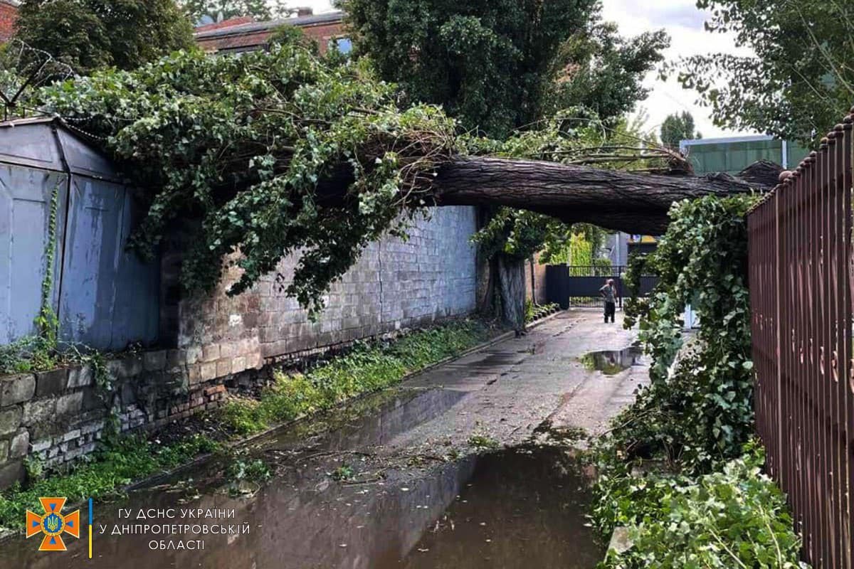 Дерево впало на паркан та автомобіль «Ford» Дерево впало на паркан та автомобіль «Ford»