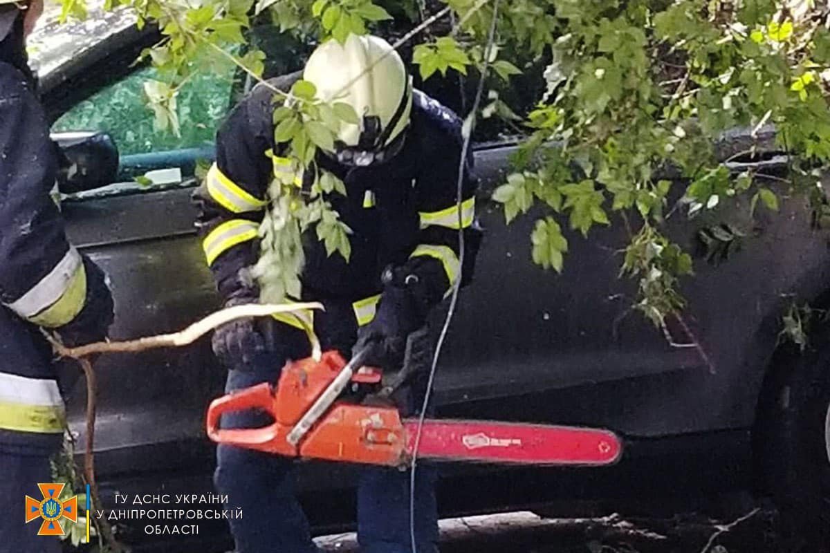 Надзвичайники за допомогою бензопил розпиляли дерево та прибрали з автівки Надзвичайники за допомогою бензопил розпиляли дерево та прибрали з автівки