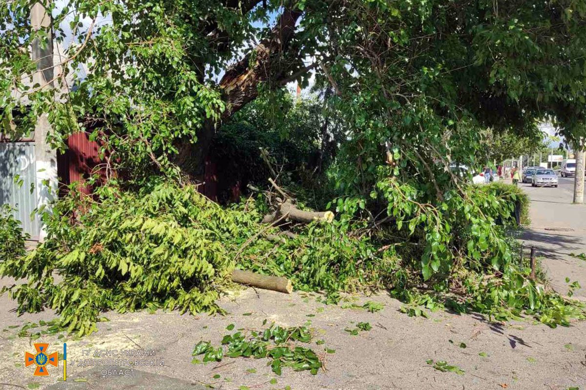 Рятівники встановили, що дерево впало на легкові автомобілі «Dacia Logan» та «Honda Civic» Рятівники встановили, що дерево впало на легкові автомобілі «Dacia Logan» та «Honda Civic»