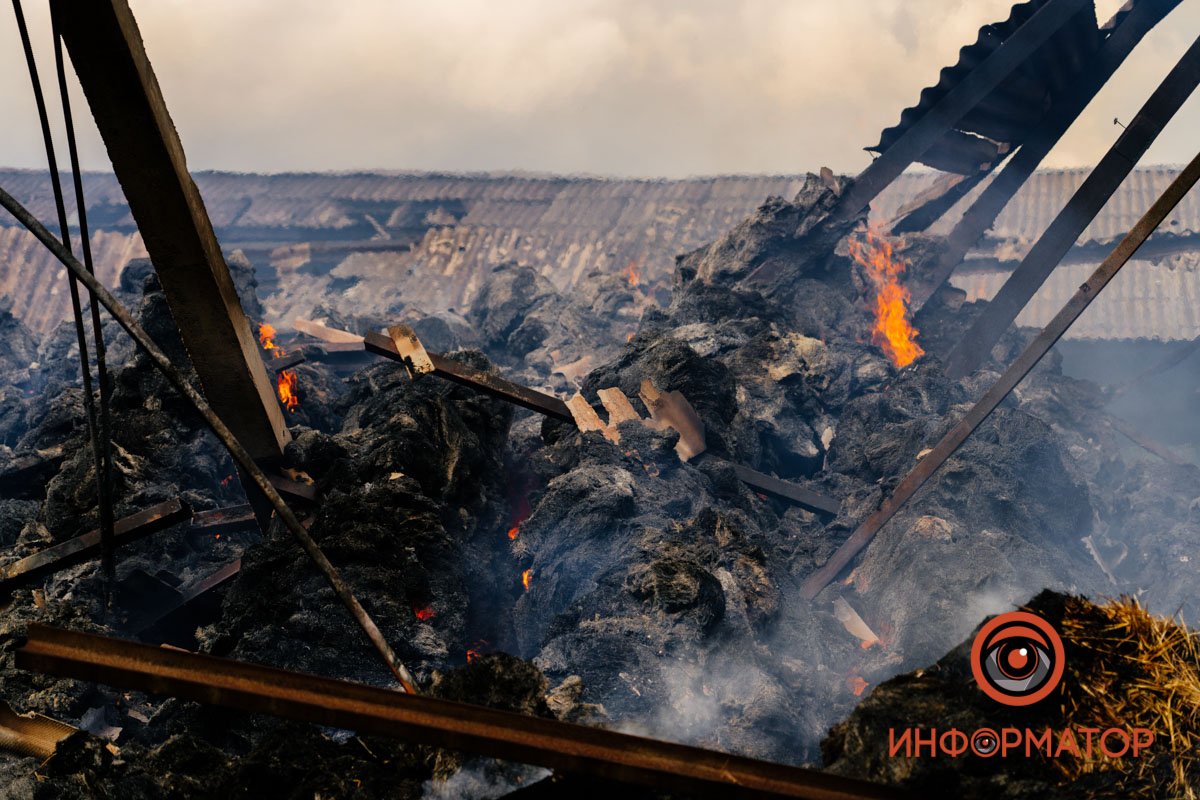 Військових там не було Військових там не було