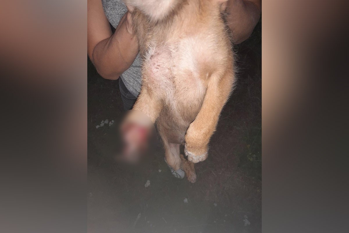 Йому потрібна ваша допомога Йому потрібна ваша допомога