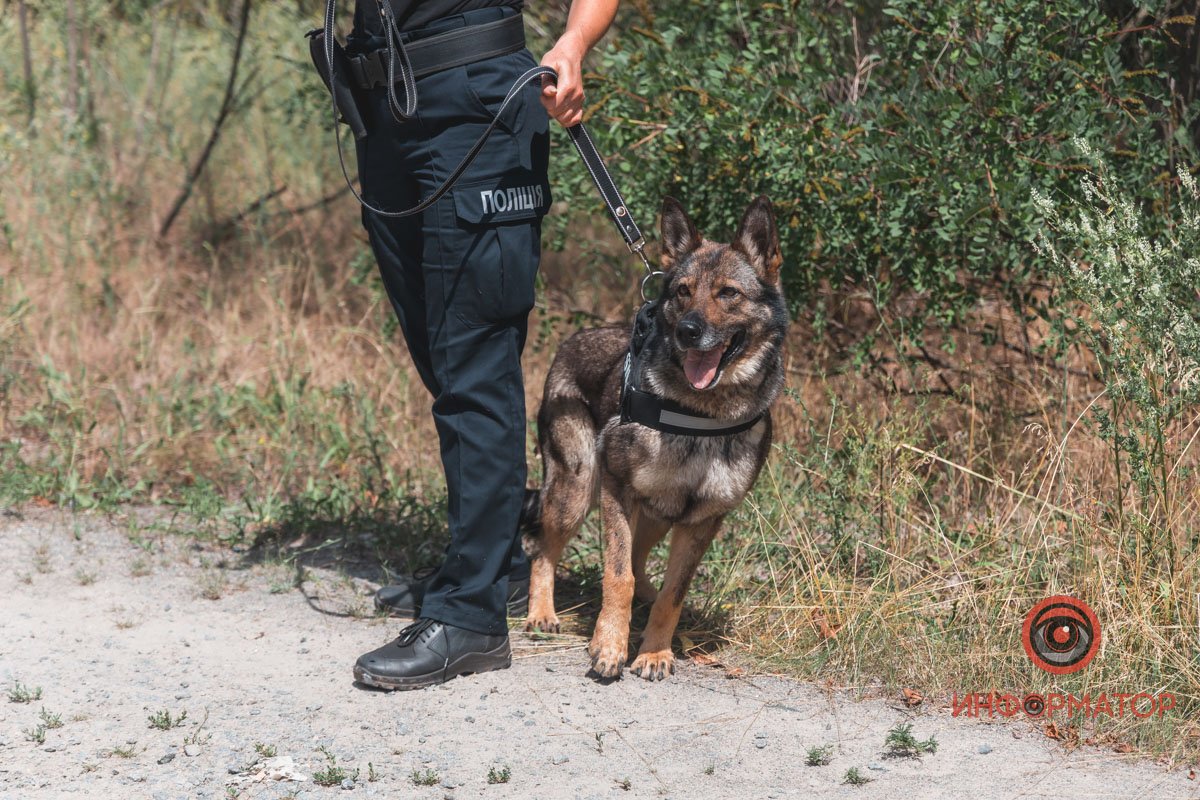 30 липня у Старих Кодаках, на березі кар'єру, знайшли труп 30 липня у Старих Кодаках, на березі кар'єру, знайшли труп