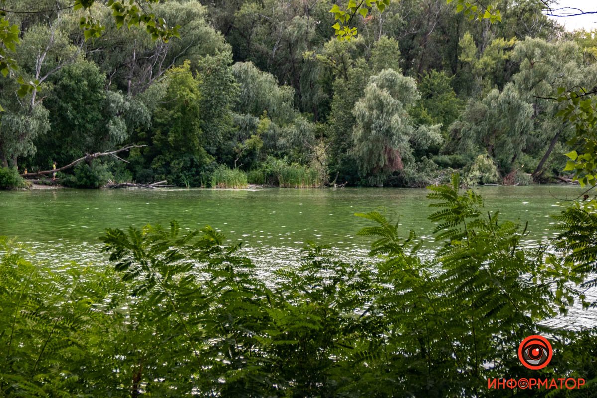 Місцева краса