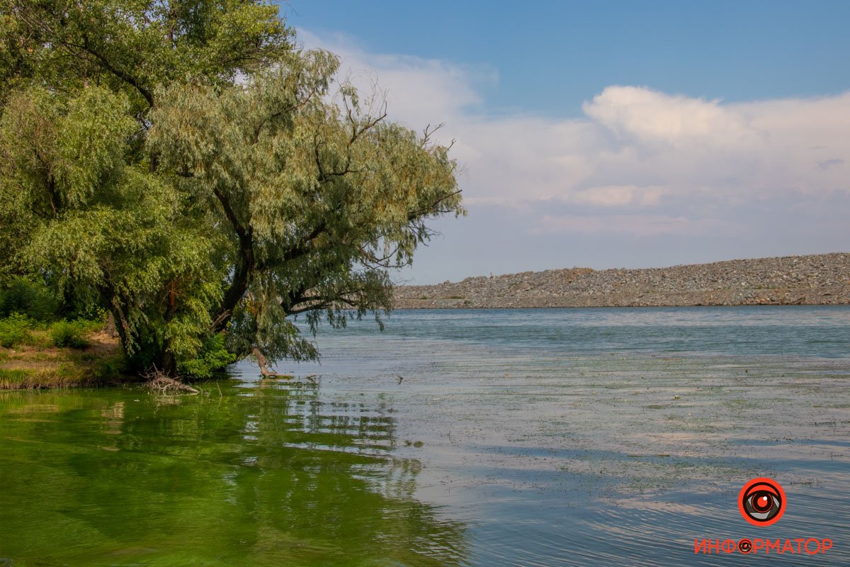 Чудеса природи