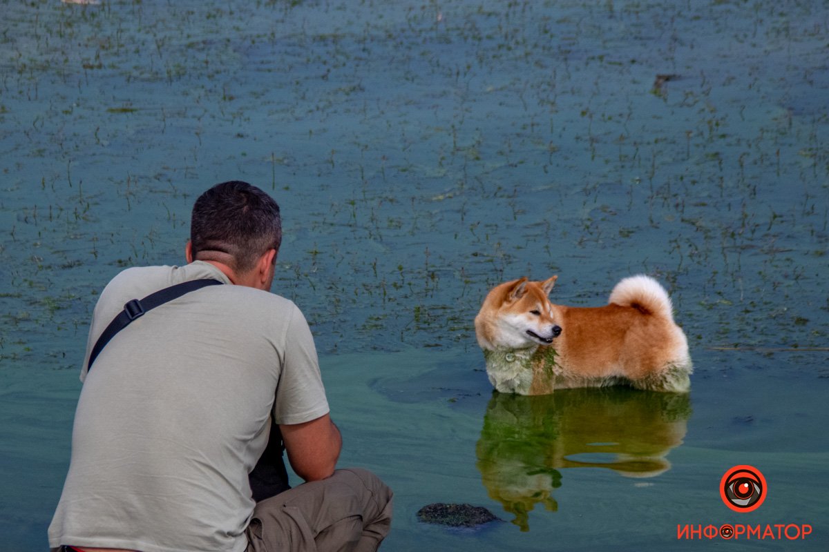 Прогулянка з найкращим другом