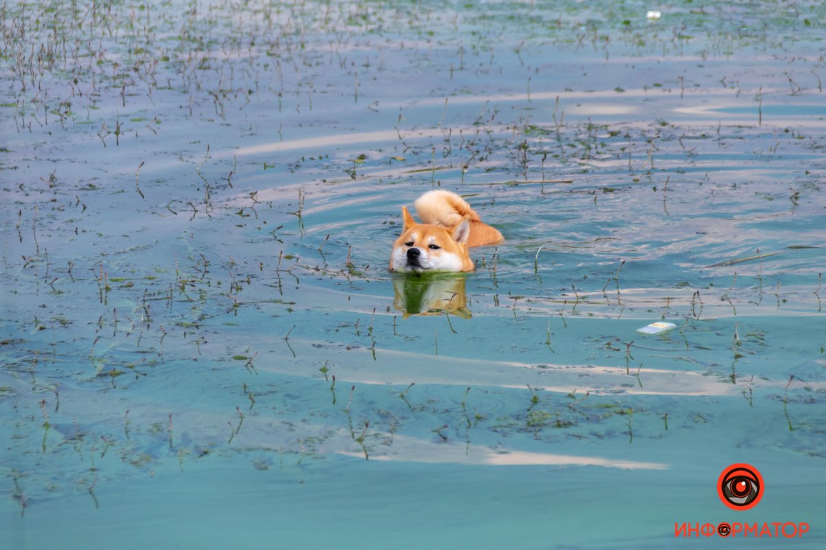 Час освіжитися