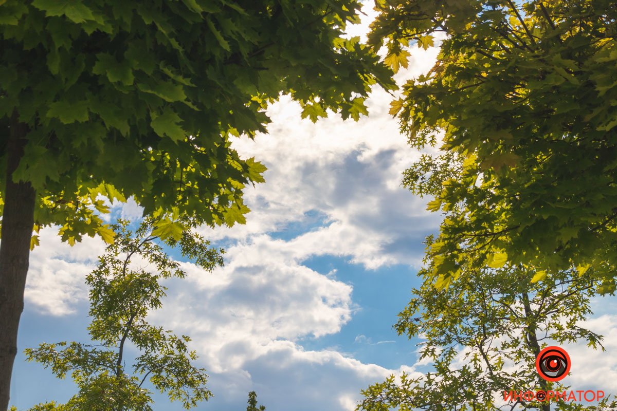 Дивовижне небо