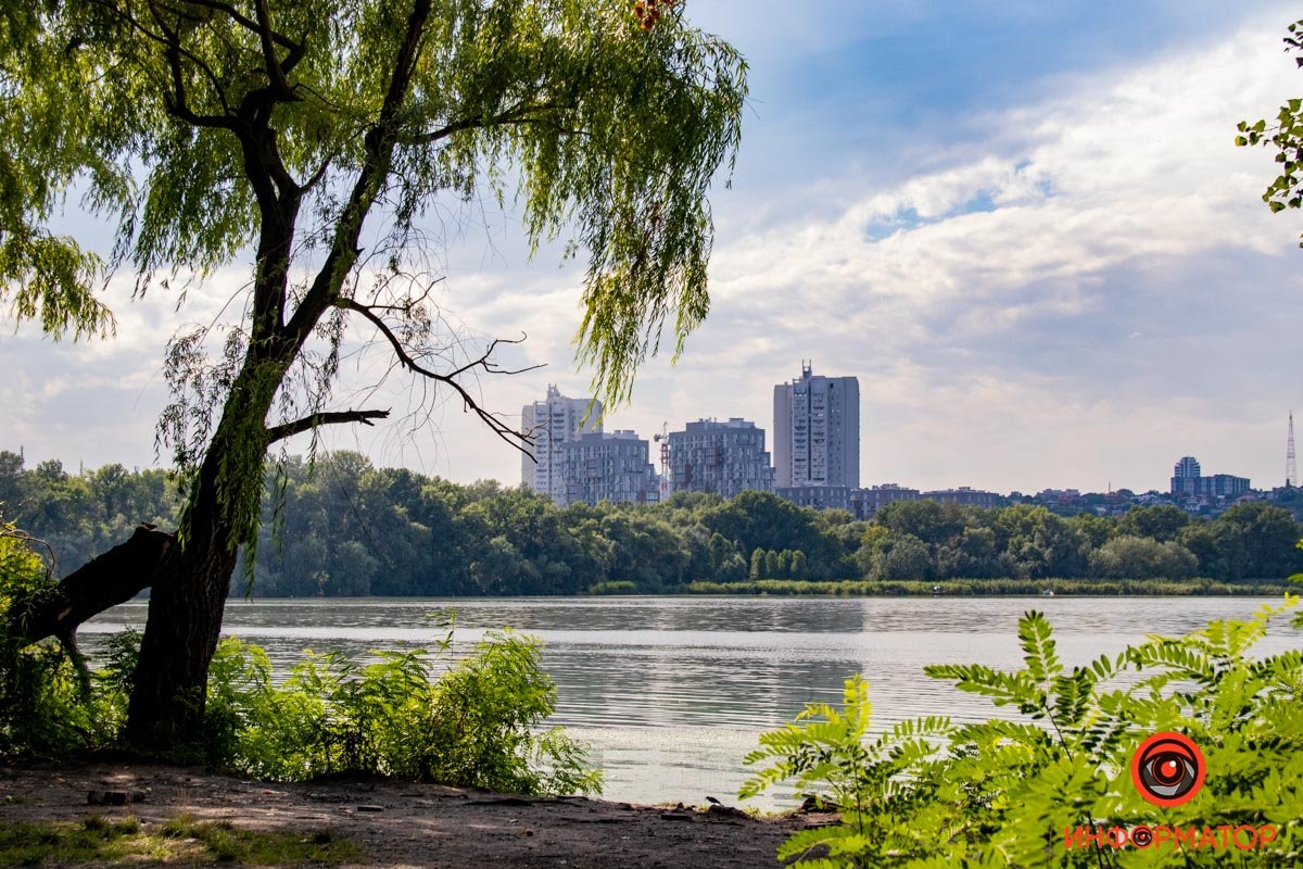 Дивовижне поруч