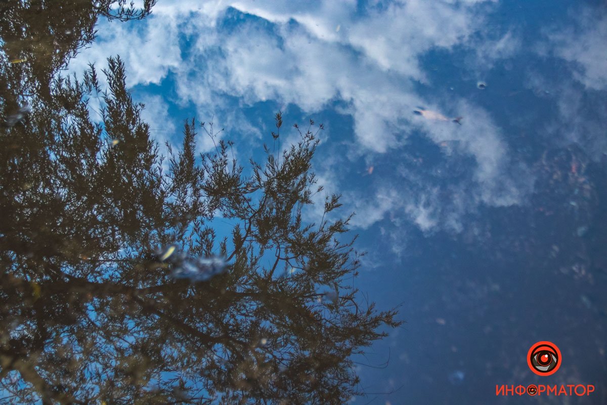 Чарівне небо